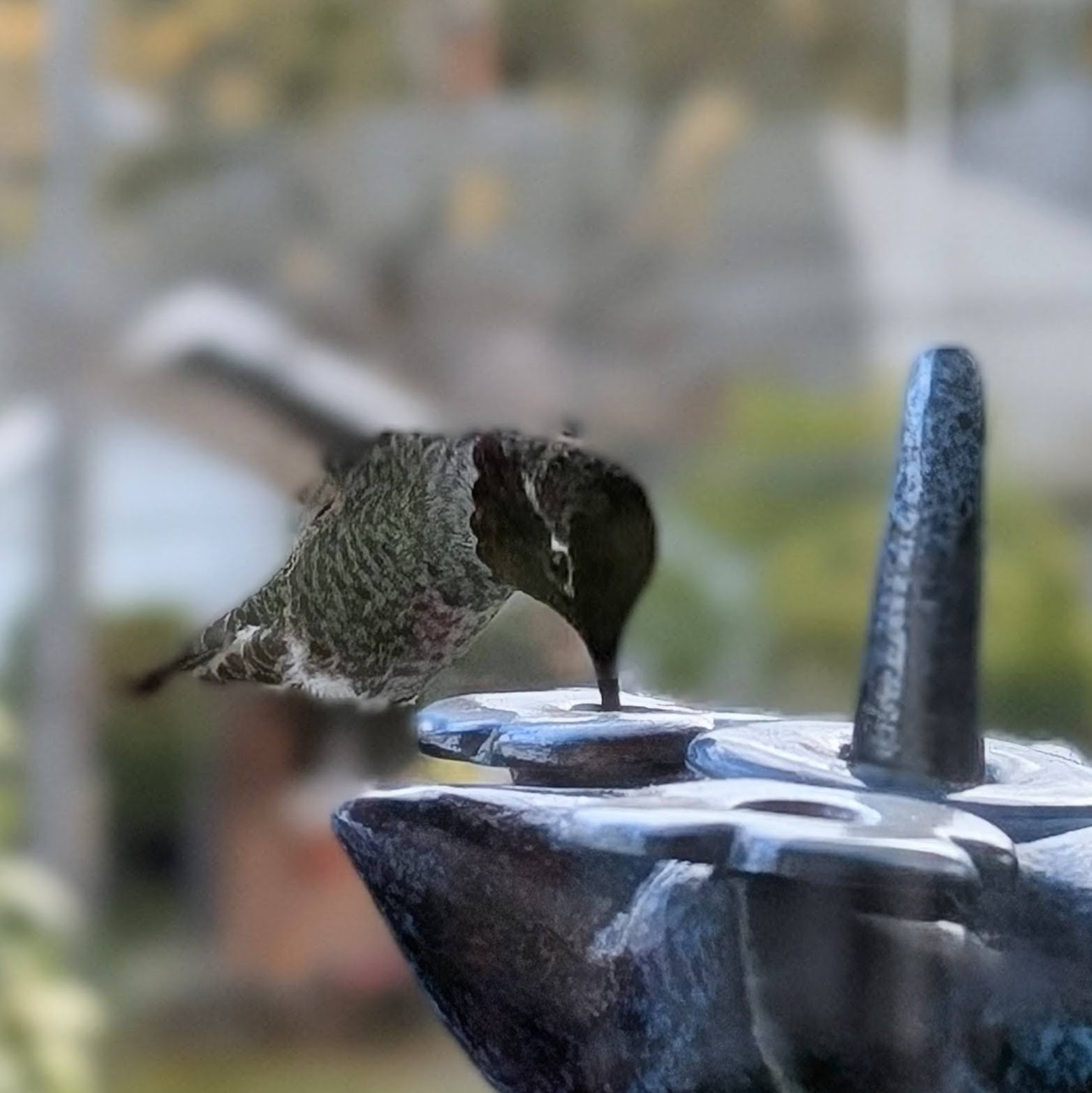 MeeMold hummingbird feeder